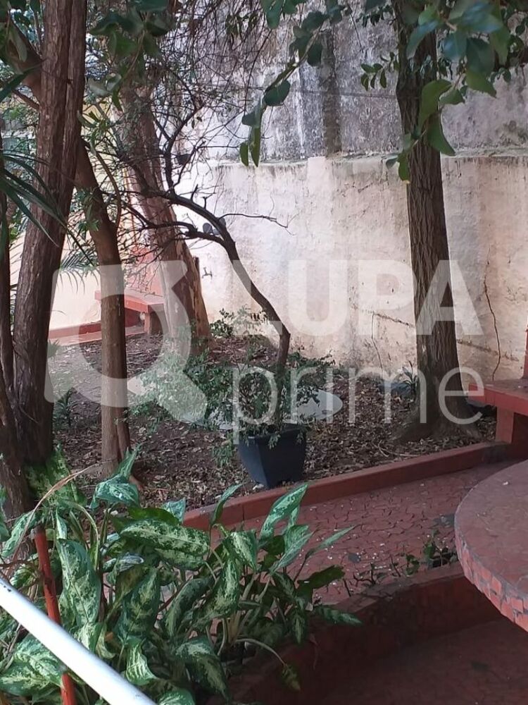 Casa, 8 quartos, 350 m² - Foto 18