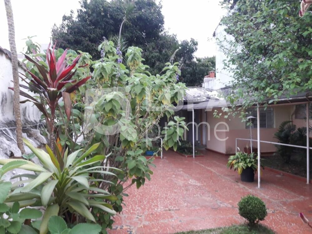 Casa, 8 quartos, 350 m² - Foto 11
