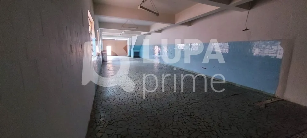 Casa, 4 quartos, 375 m² - Foto 4