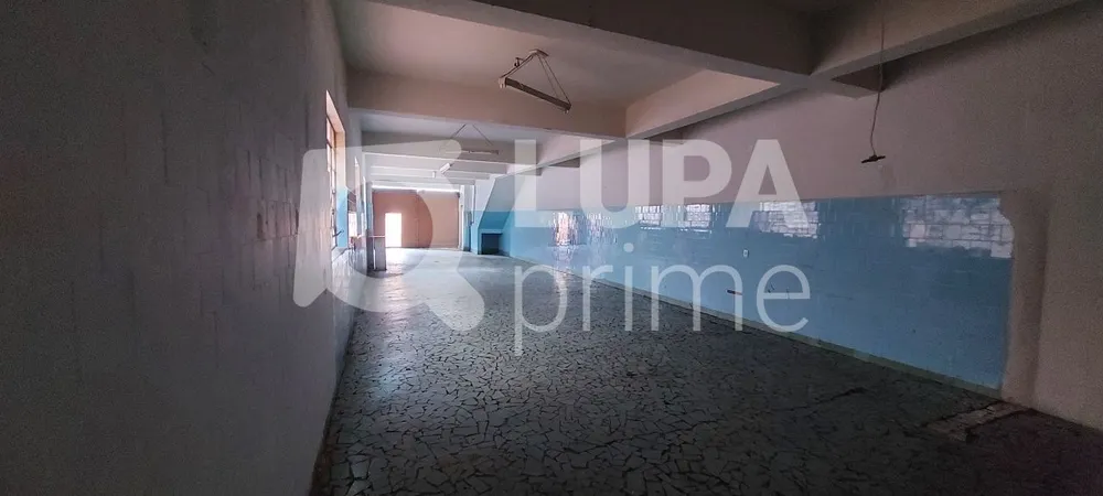 Casa, 4 quartos, 375 m² - Foto 8