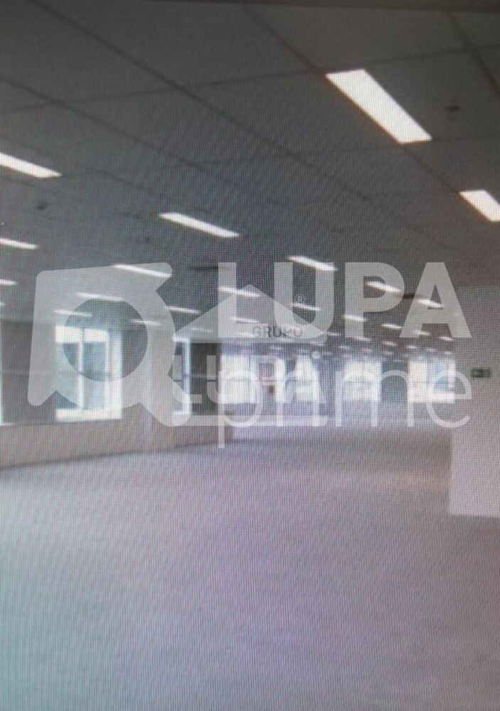 Sala-Conjunto, 230 m² - Foto 3