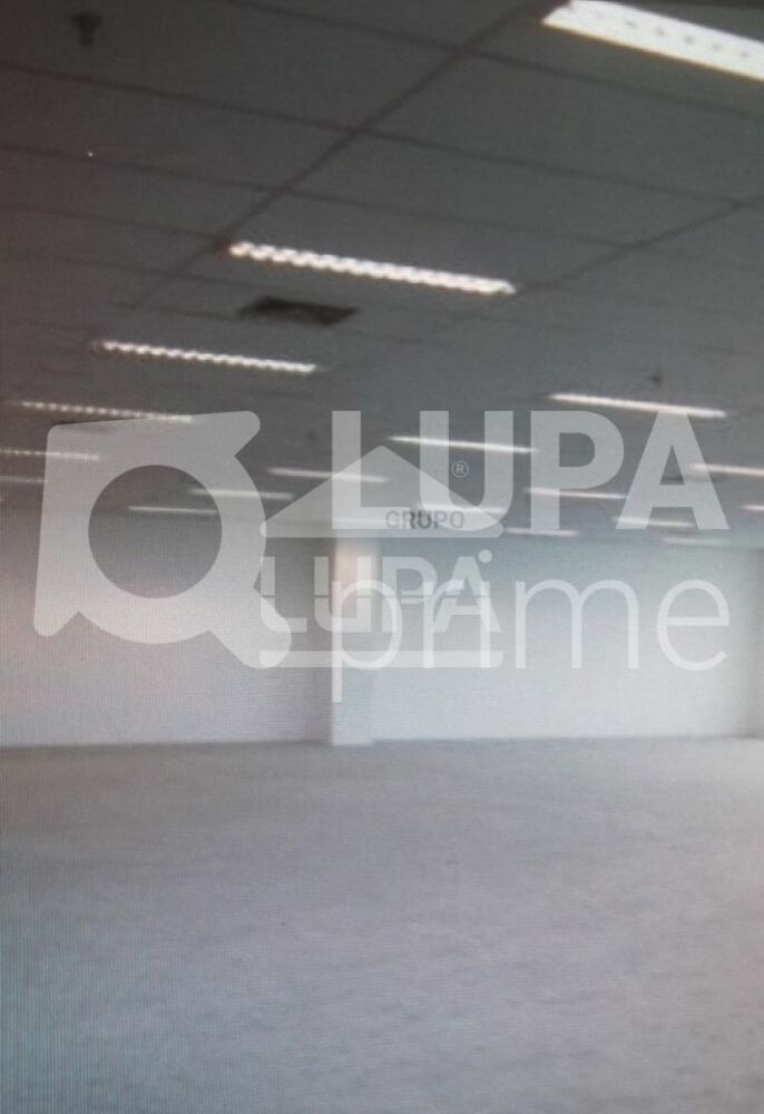 Sala-Conjunto, 230 m² - Foto 2
