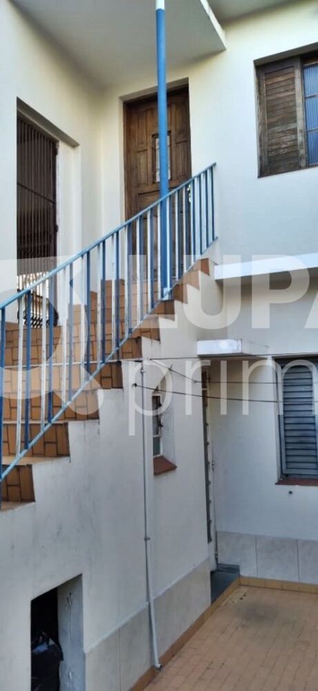 Casa, 6 quartos, 220 m² - Foto 4