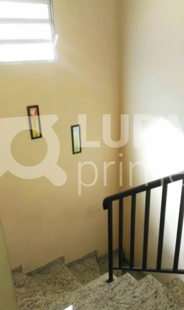 Casa, 3 quartos, 125 m² - Foto 4