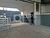 Depósito-Galpão, 442 m² - Foto 3