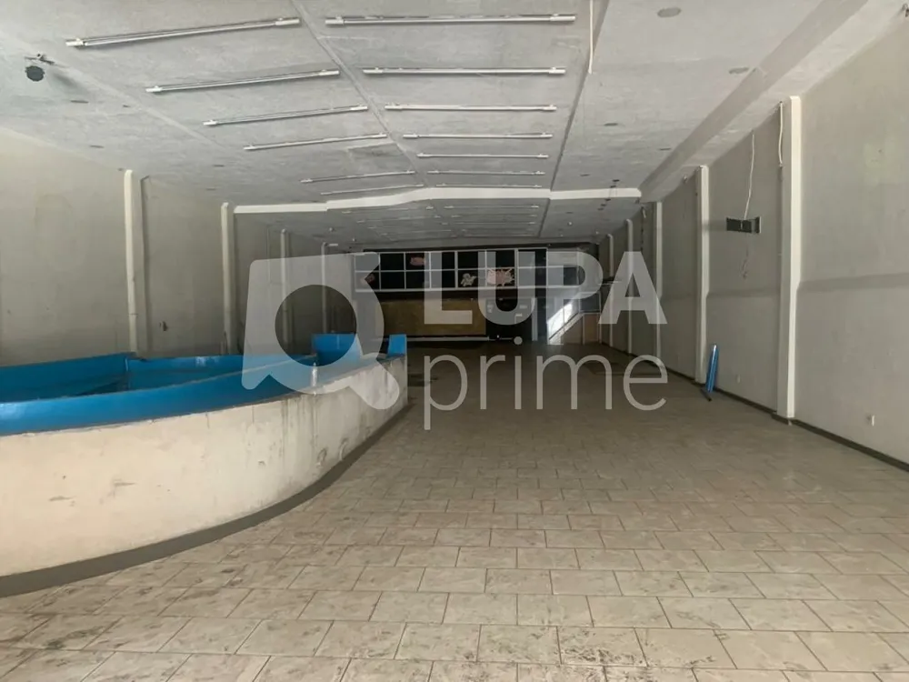 Terreno, 1539 m² - Foto 5