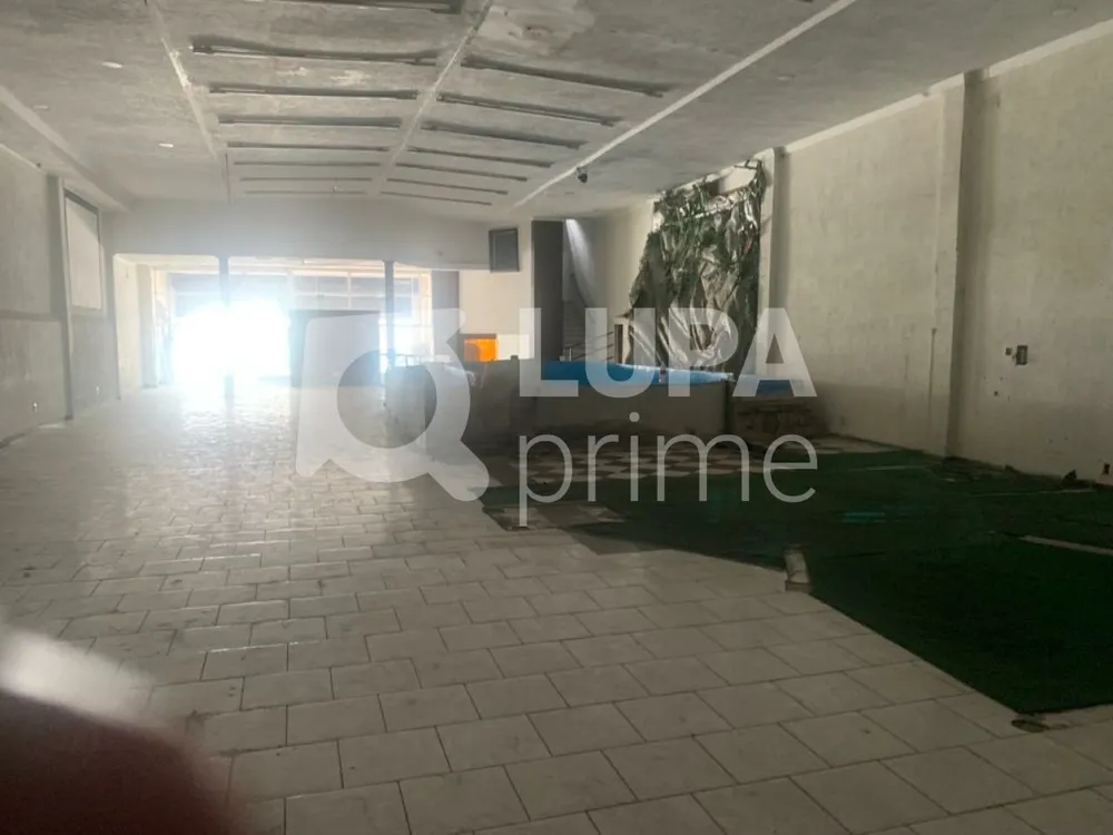 Terreno, 1539 m² - Foto 4