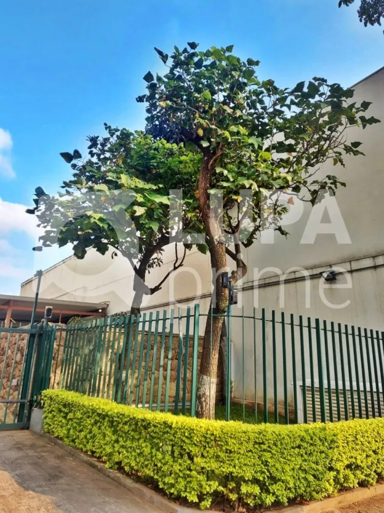 Apartamento, 3 quartos, 90 m² - Foto 5