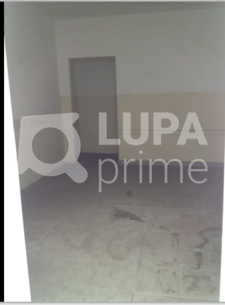 Casa, 5 quartos, 280 m² - Foto 7