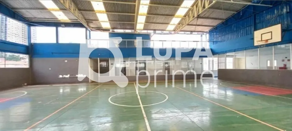 Sala-Conjunto, 250 m² - Foto 2