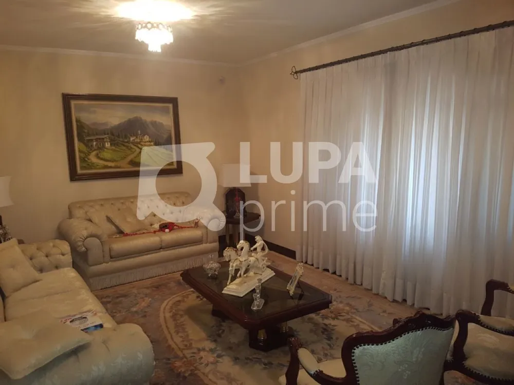 Casa, 4 quartos, 420 m² - Foto 13