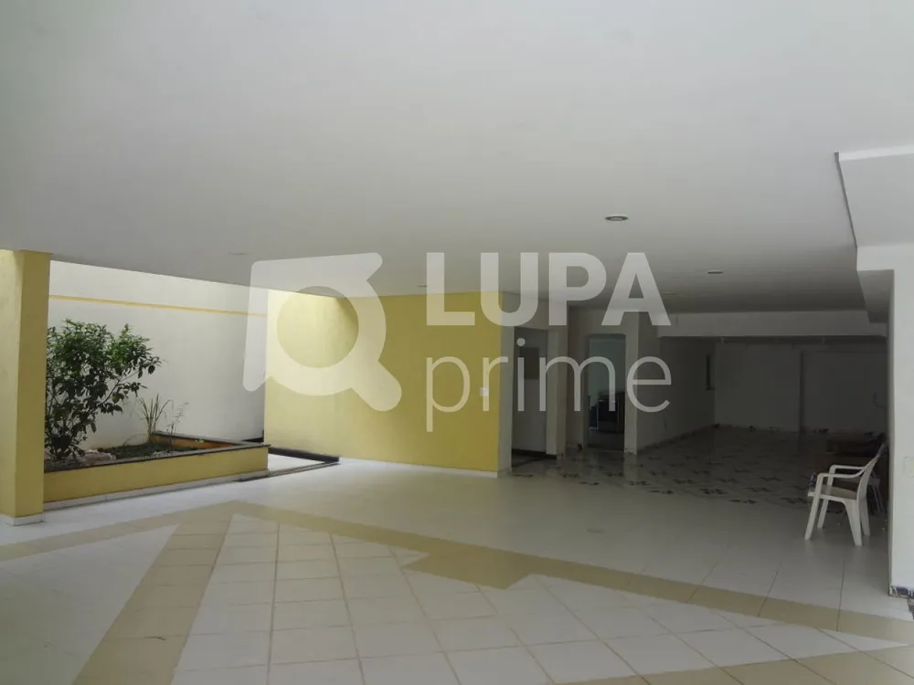Casa, 3 quartos, 384 m² - Foto 5