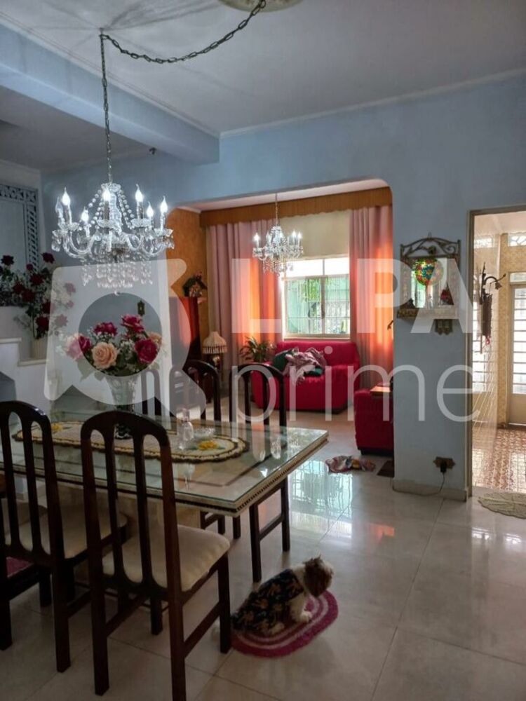 Casa, 5 quartos, 175 m² - Foto 7