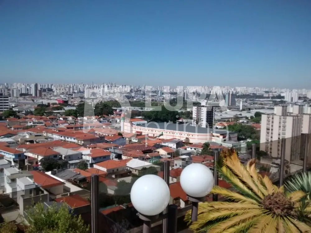 Apartamento, 3 quartos, 290 m² - Foto 3