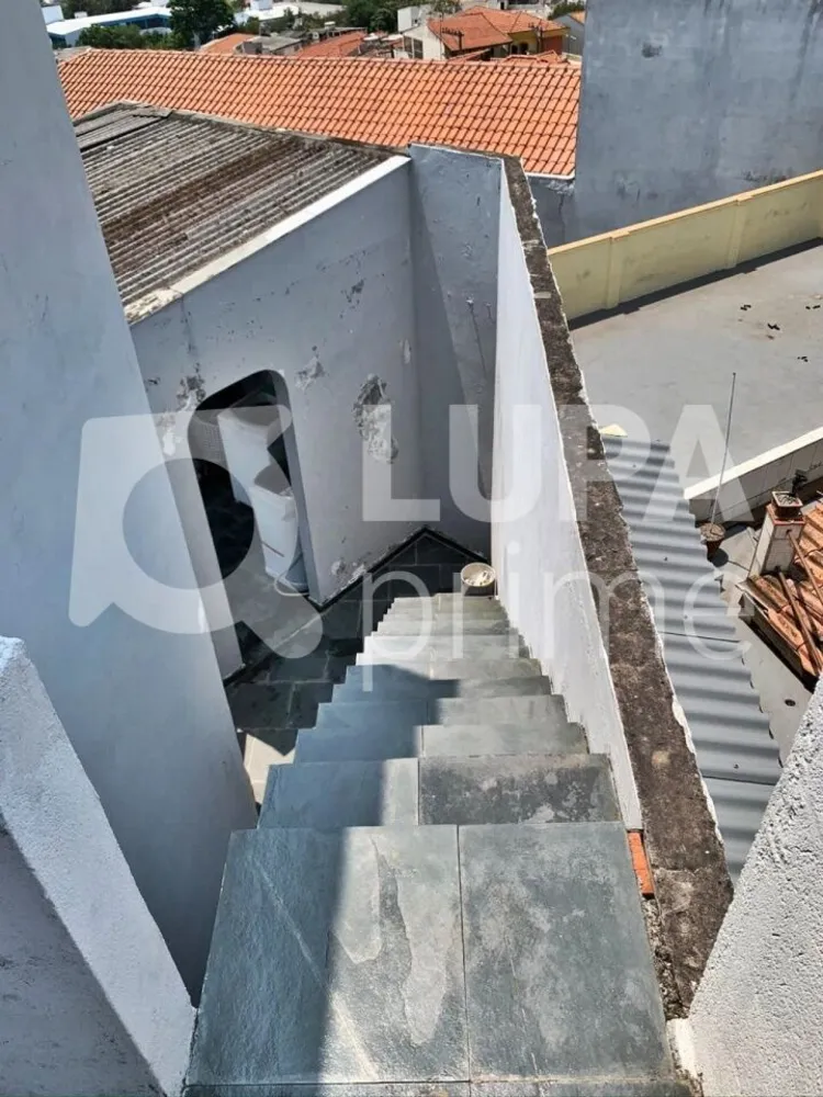 Casa, 3 quartos, 270 m² - Foto 14