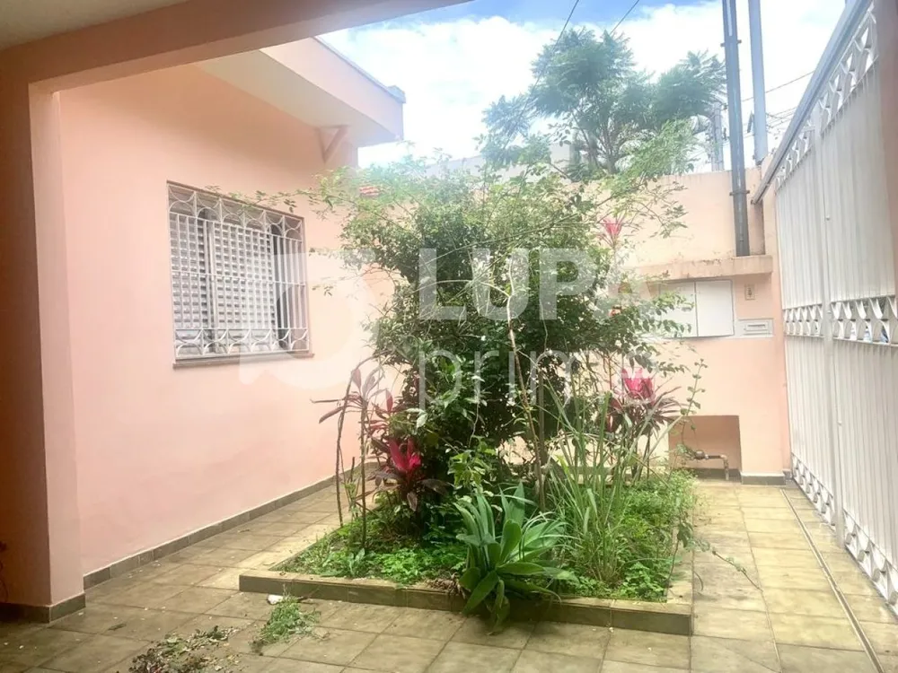 Casa, 3 quartos, 252 m² - Foto 10