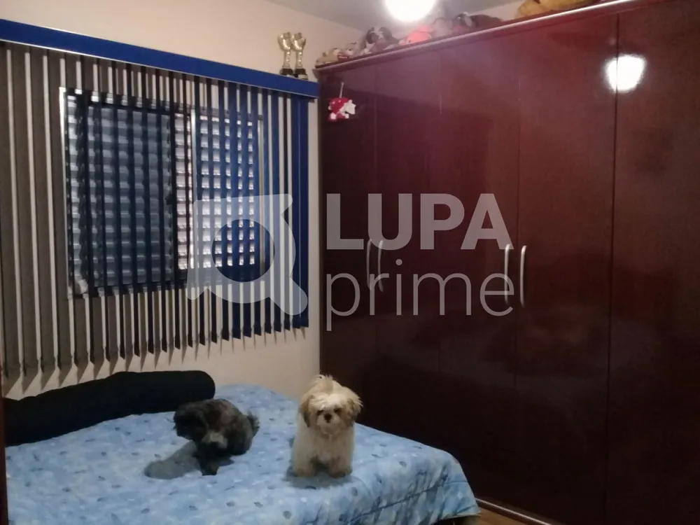 Casa, 3 quartos, 140 m² - Foto 11
