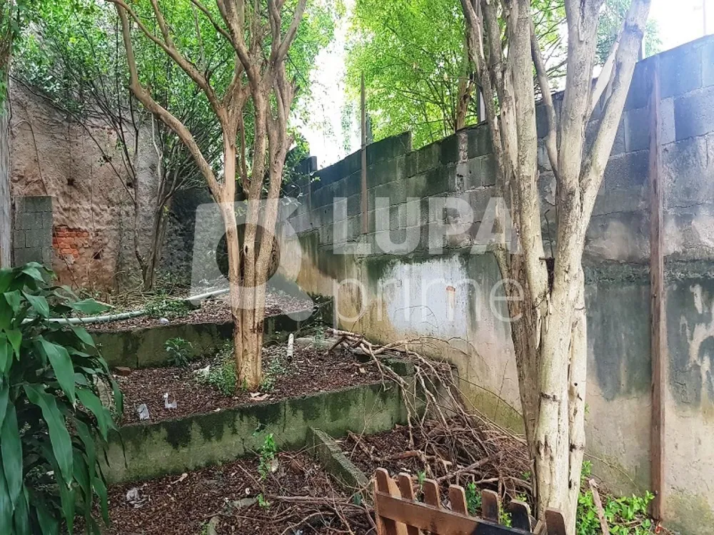 Casa, 3 quartos, 243 m² - Foto 6