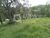 Terreno, 3 hectares - Foto 3