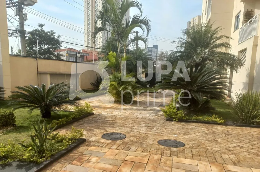 Apartamento, 3 quartos, 65 m² - Foto 3