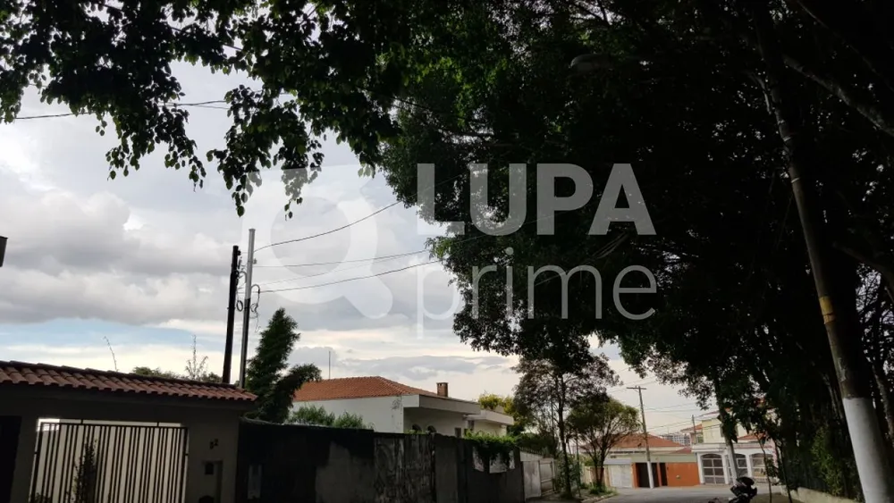 Terreno, 260 m² - Foto 1