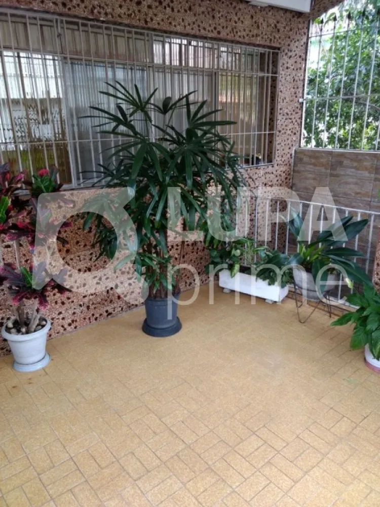 Casa, 3 quartos, 240 m² - Foto 3