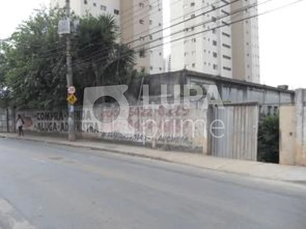 Terreno, 4200 m² - Foto 3