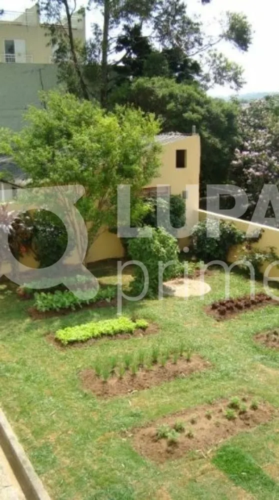 Casa, 4 quartos, 649 m² - Foto 10