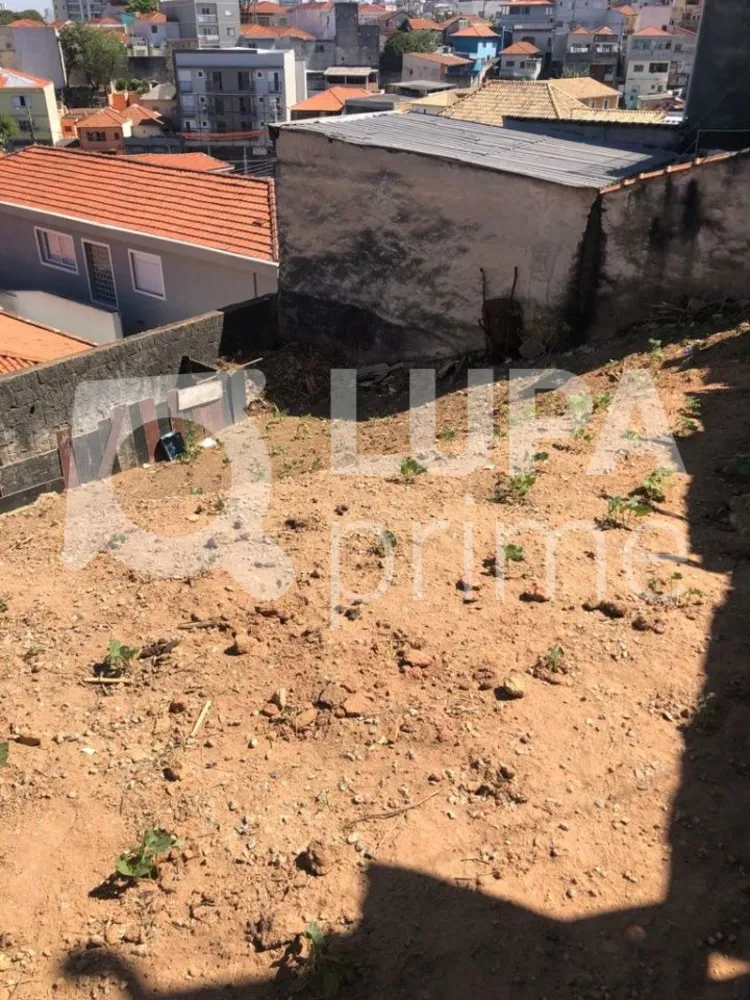Casa, 5 quartos, 250 m² - Foto 12