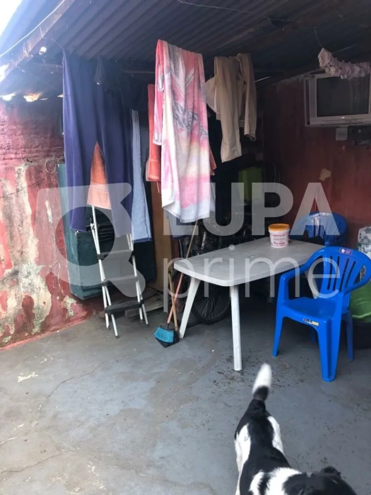 Casa, 5 quartos, 250 m² - Foto 10