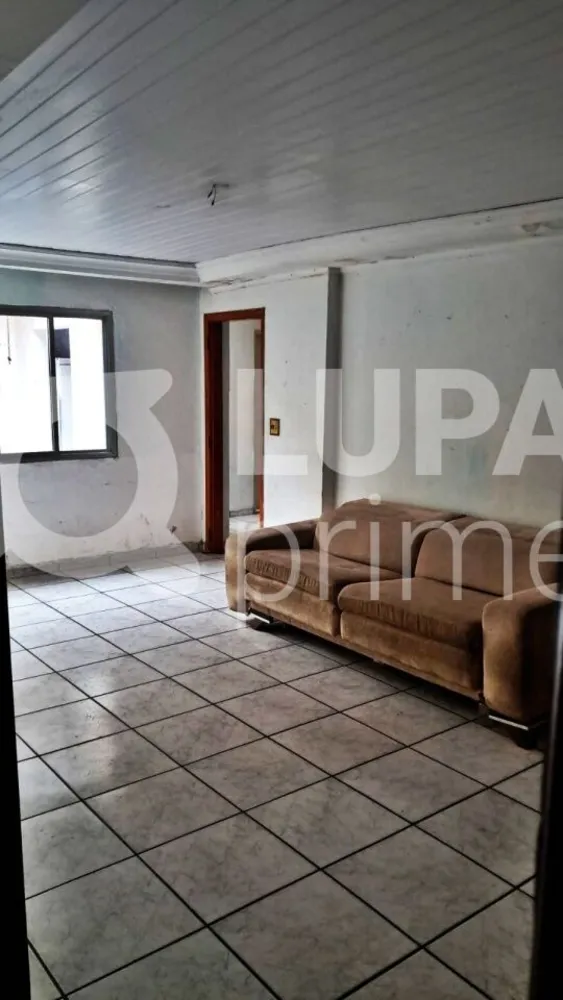 Casa, 4 quartos, 260 m² - Foto 11