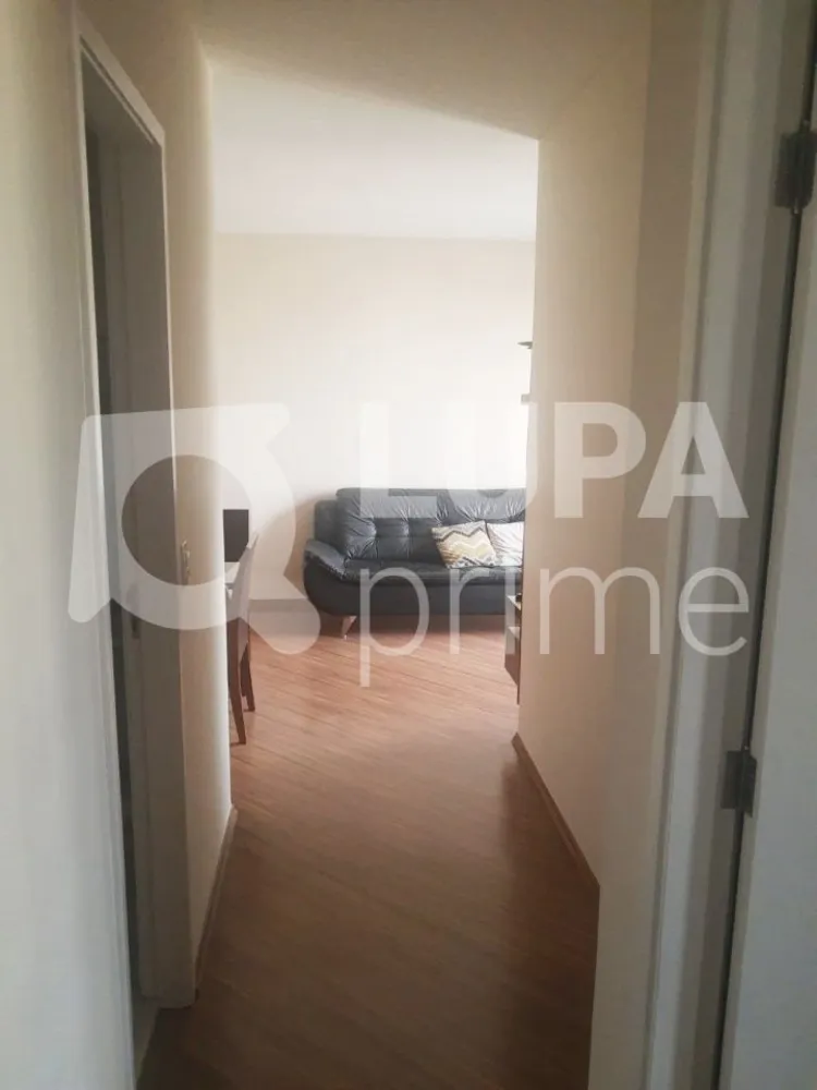 Apartamento, 3 quartos, 65 m² - Foto 7