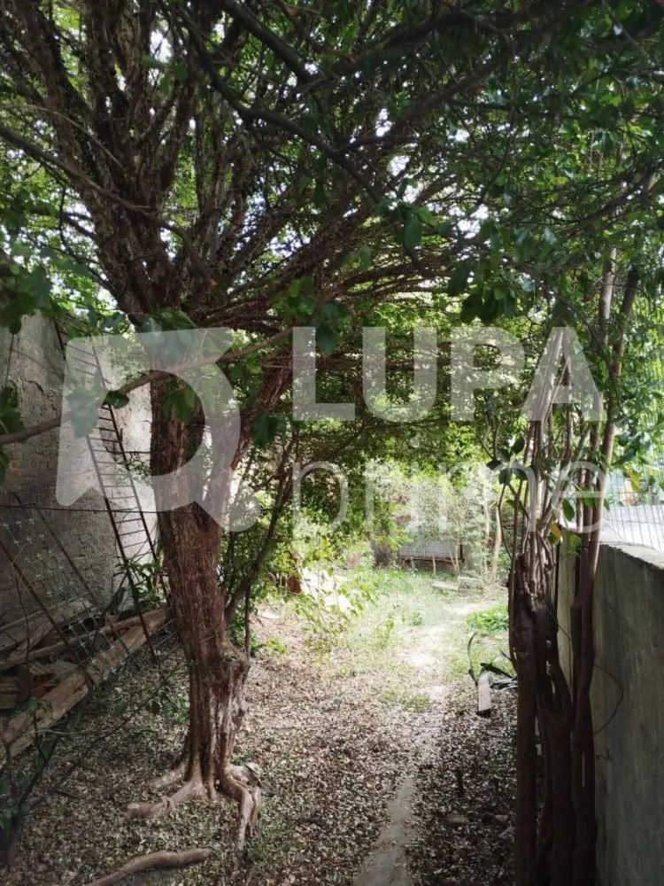 Terreno, 400 m² - Foto 11
