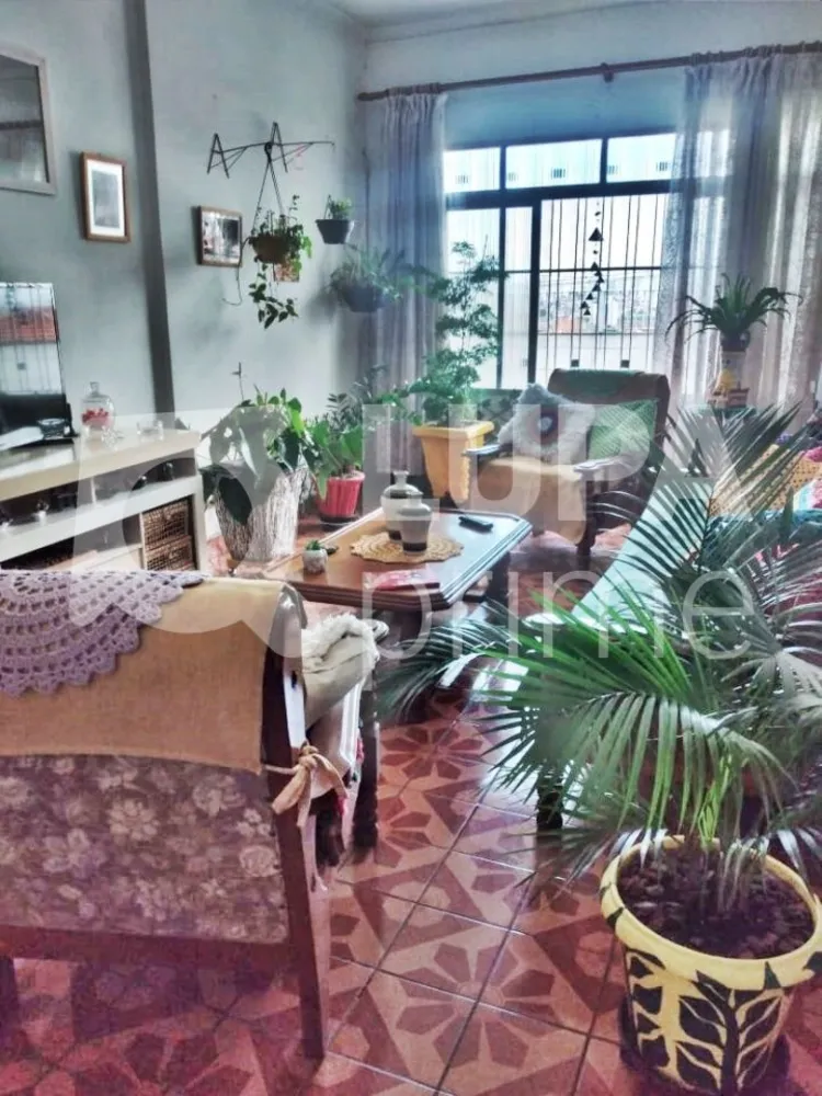 Casa, 6 quartos, 262 m² - Foto 4