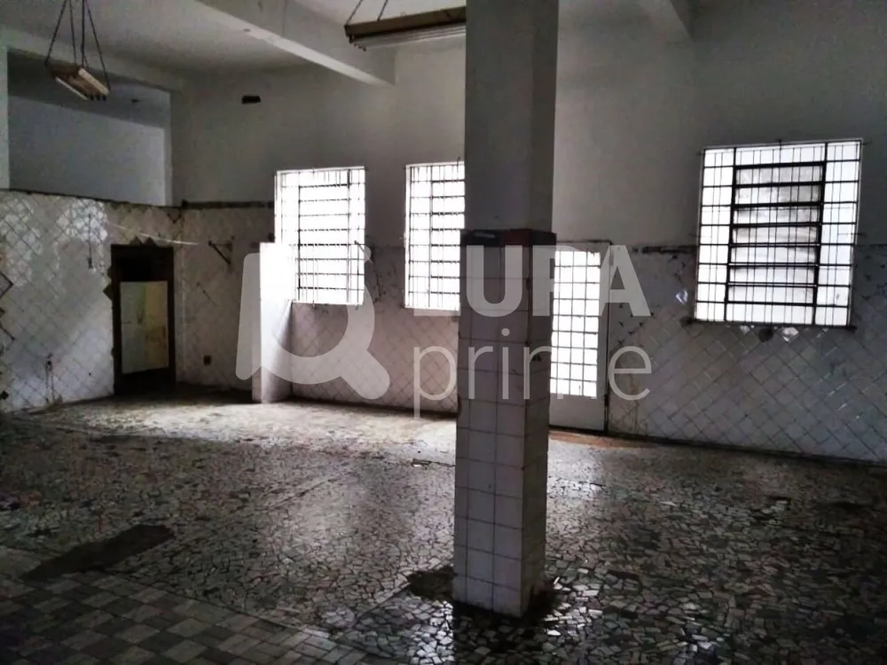 Loja-Salão, 420 m² - Foto 3