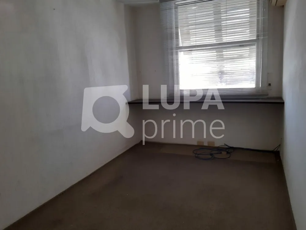 Sala-Conjunto, 260 m² - Foto 3