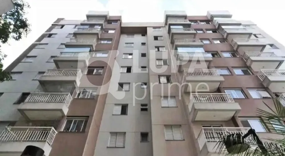 Apartamento, 2 quartos, 46 m² - Foto 5