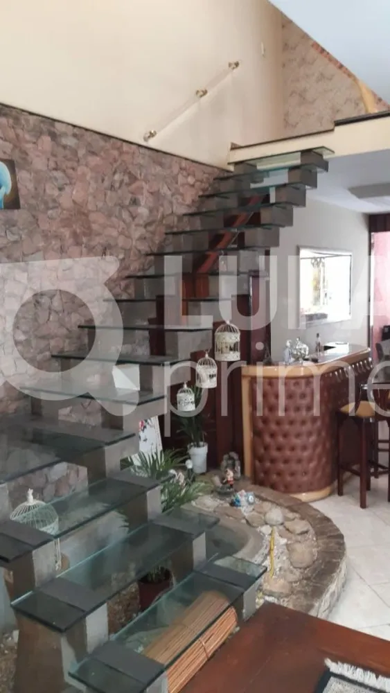 Casa, 4 quartos, 350 m² - Foto 6