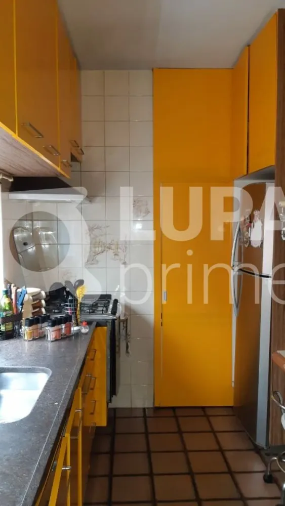 Casa, 4 quartos, 350 m² - Foto 7