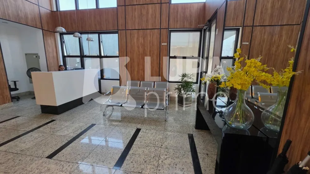 Sala-Conjunto, 566 m² - Foto 2