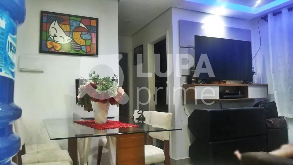 Apartamento, 2 quartos, 43 m² - Foto 4