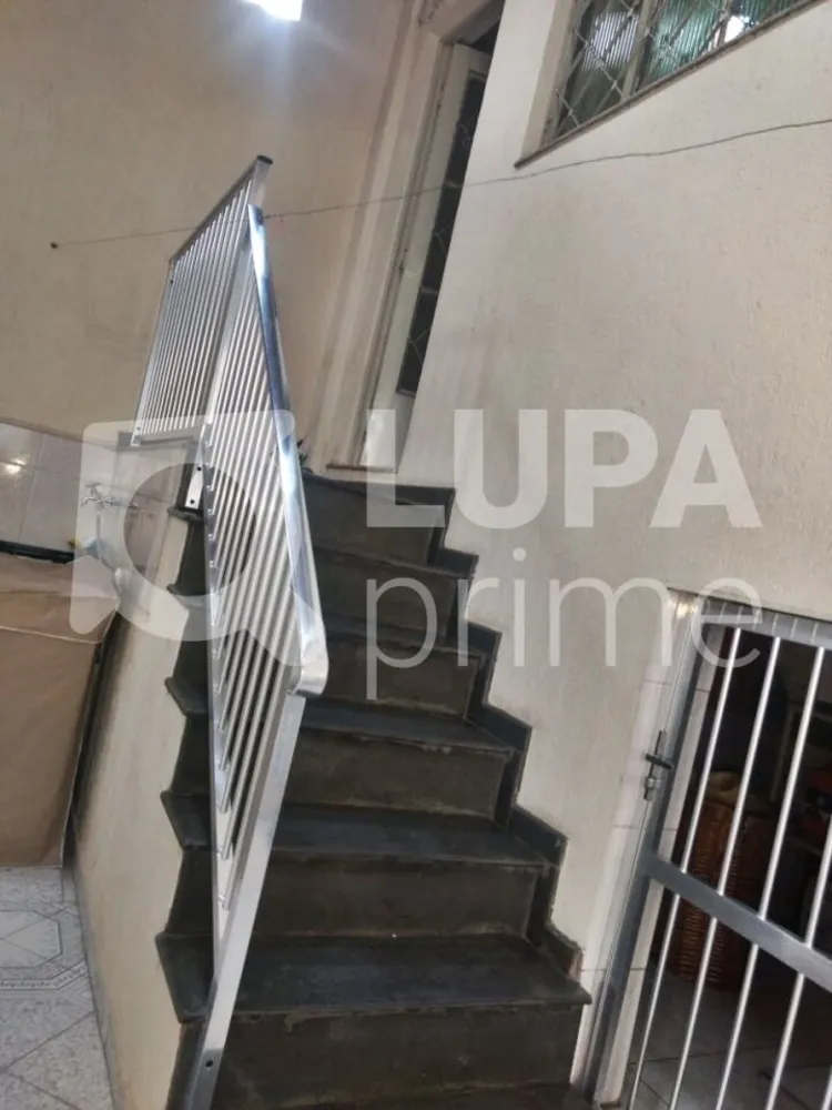 Casa, 4 quartos, 228 m² - Foto 10