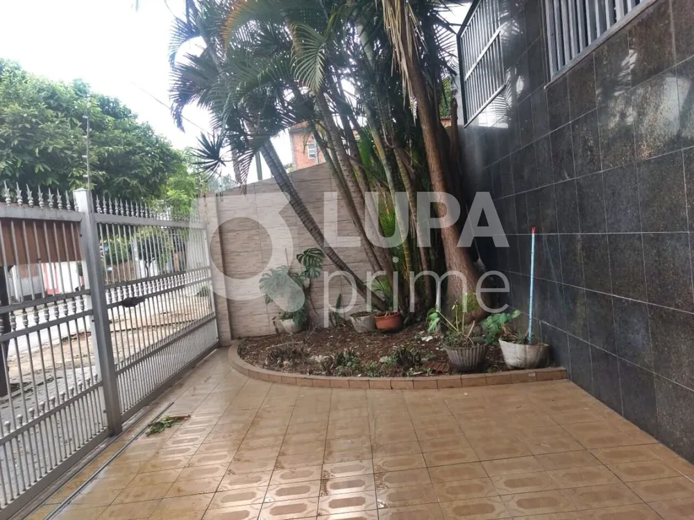 Casa, 4 quartos, 228 m² - Foto 7
