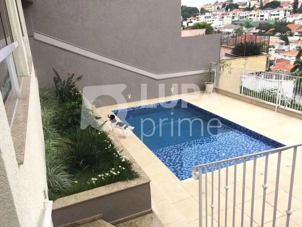 Casa, 3 quartos, 450 m² - Foto 1
