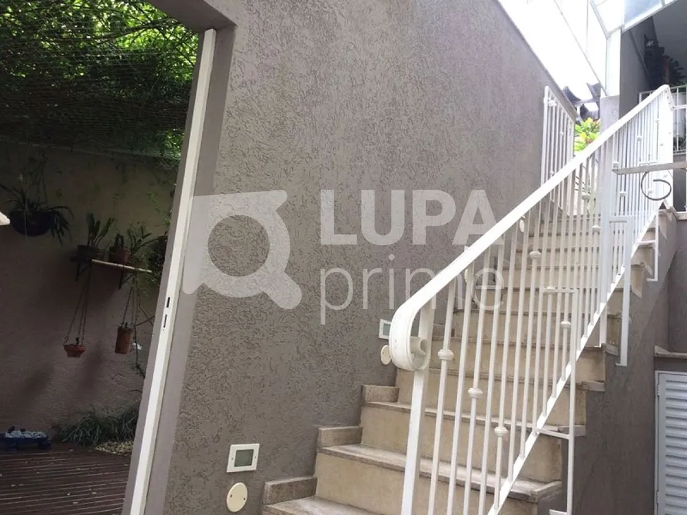 Casa, 3 quartos, 450 m² - Foto 6