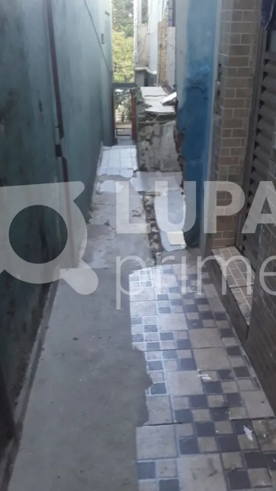 Casa, 12 quartos, 250 m² - Foto 3