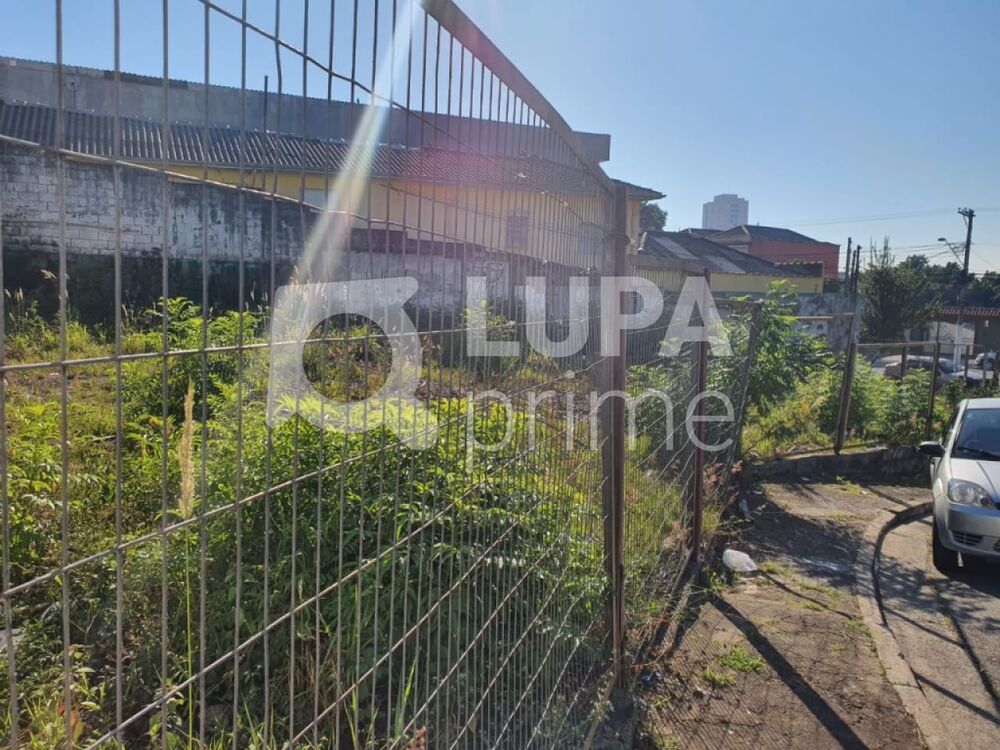 Terreno para alugar, 825 - Foto 4
