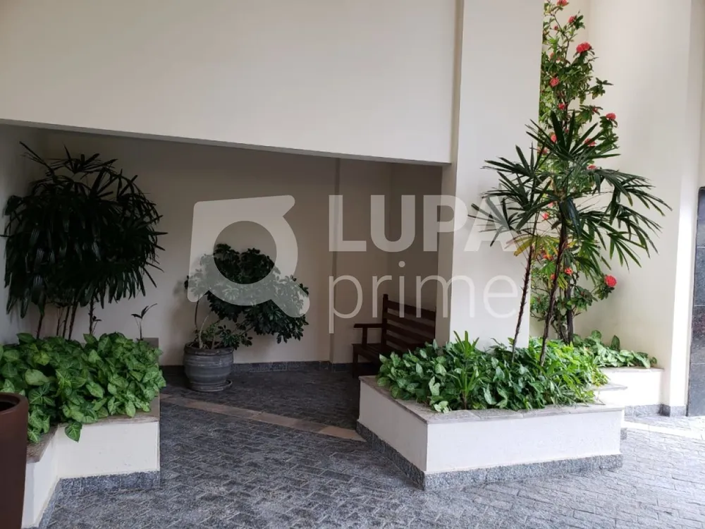Apartamento, 3 quartos, 108 m² - Foto 12