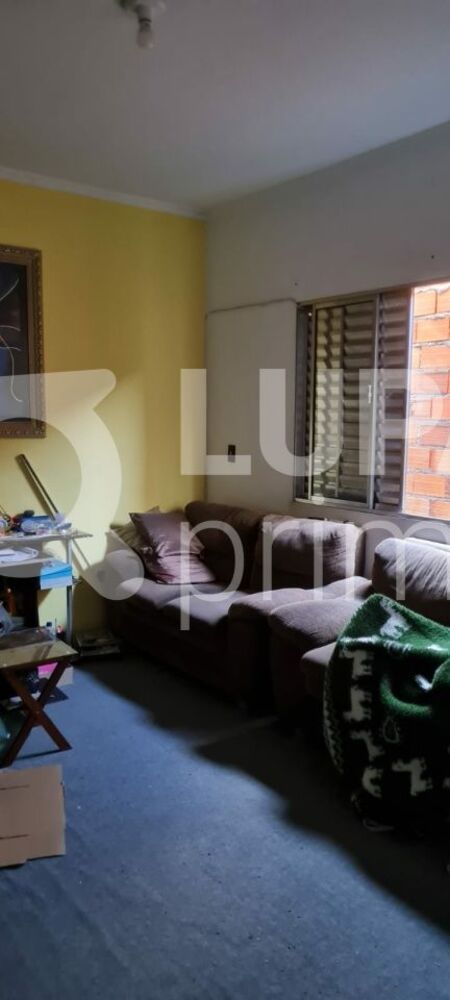 Casa, 4 quartos, 100 m² - Foto 4