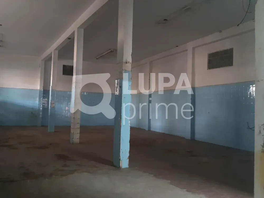 Loja-Salão, 320 m² - Foto 5